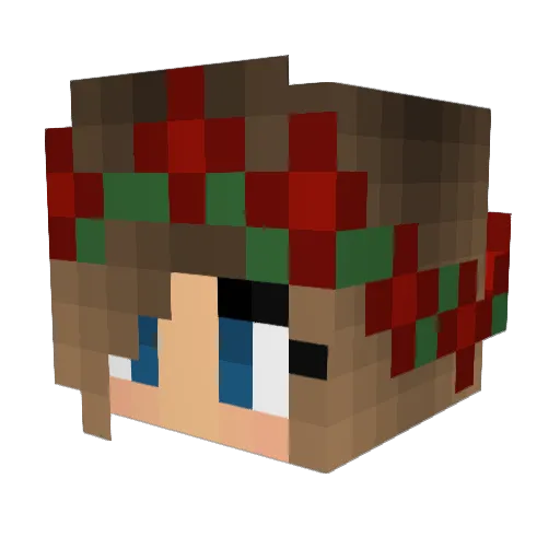 Pumpkincat00 Minecraft avatar head, 3D render