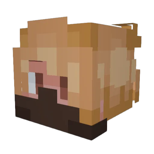 Pumplin27 Minecraft avatar head, 3D render