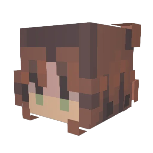 Pumpumka102 Minecraft avatar head, 3D render