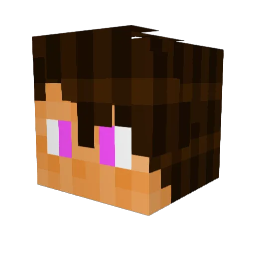 PumpyCekcu Minecraft avatar head, 3D render