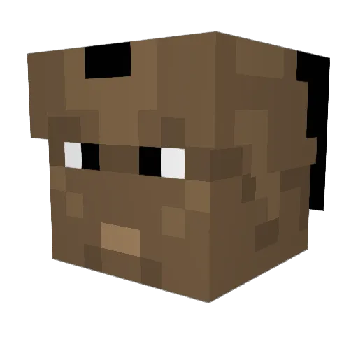 PunPunIsSleepy Minecraft avatar head, 3D render