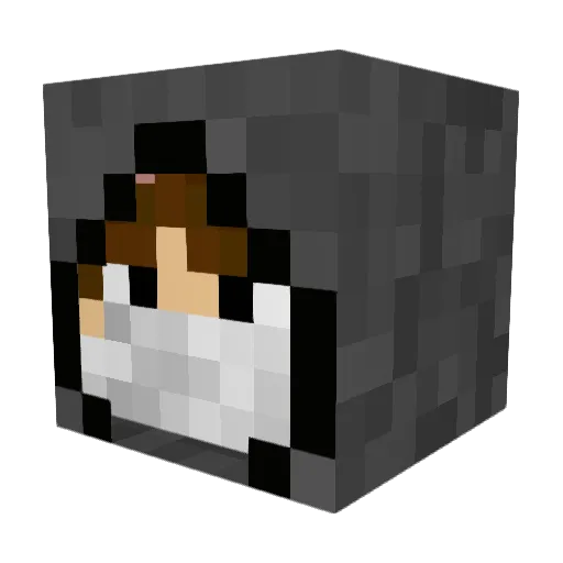 PuncakeNation Minecraft avatar head, 3D render
