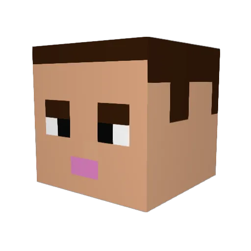 PunchTrees825 Minecraft avatar head, 3D render