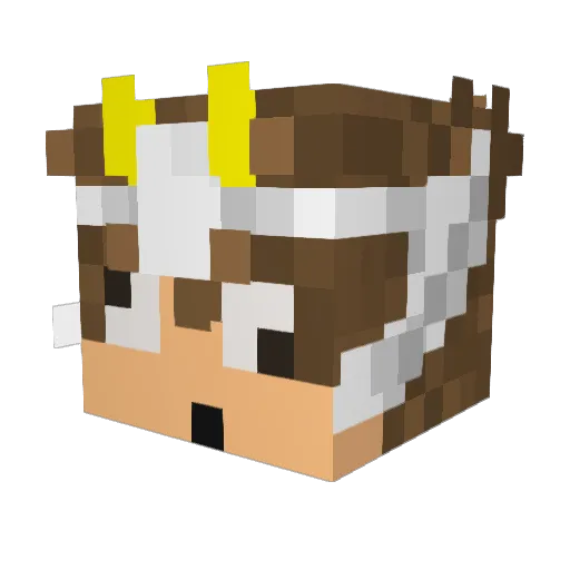 Punch_ST Minecraft avatar head, 3D render
