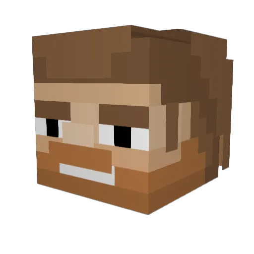 Punch_Vanderhuge Minecraft avatar head, 3D render