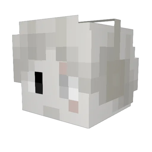 Punchboi2011 Minecraft avatar head, 3D render
