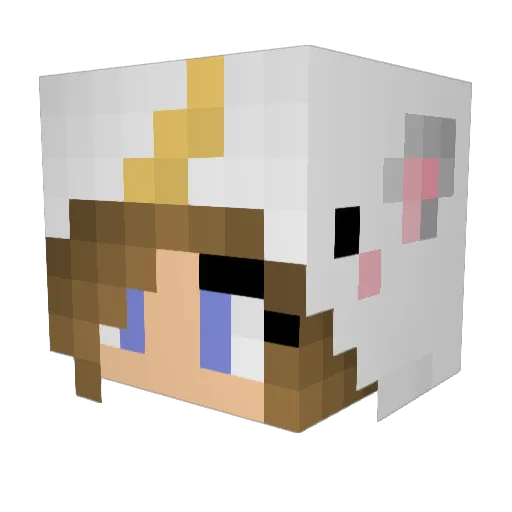 Punchdown1337 Minecraft avatar head, 3D render