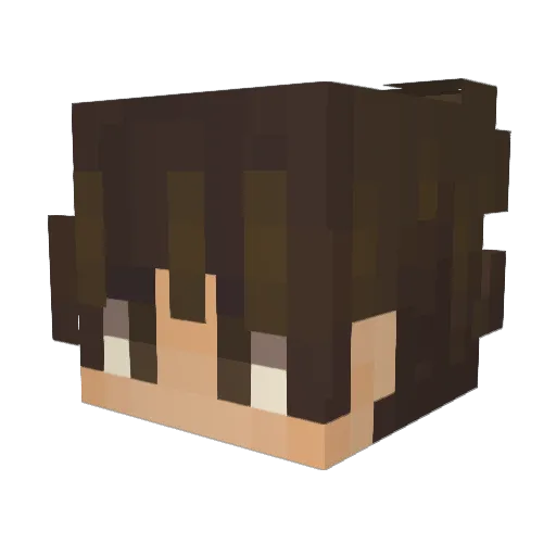 PunchingPenguins Minecraft avatar head, 3D render