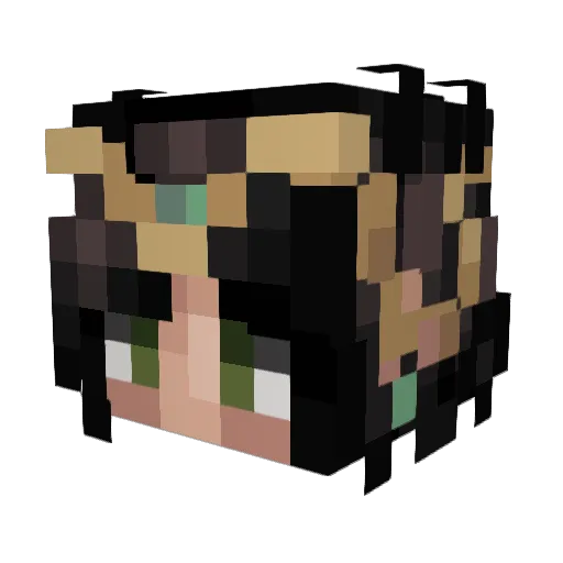 Punchy6209 Minecraft avatar head, 3D render