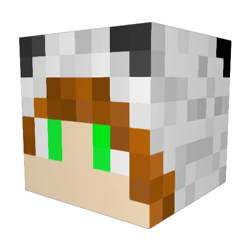 PundaLands Minecraft avatar head, 3D render