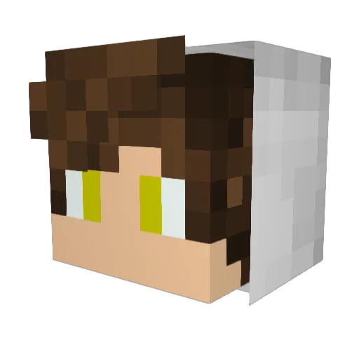 PungentTowel Minecraft avatar head, 3D render