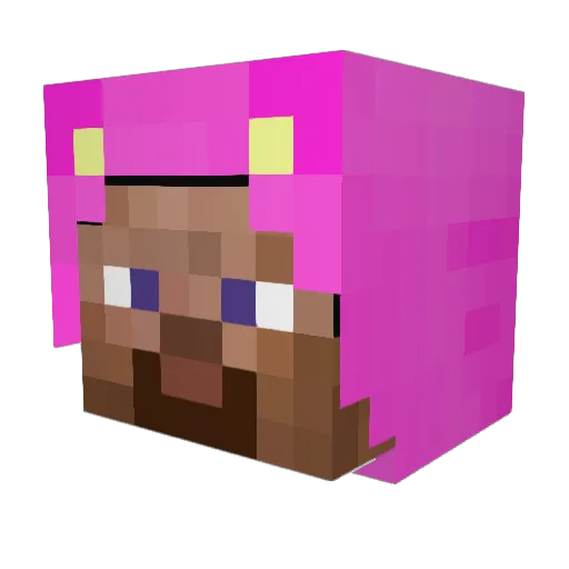 Pungescarina Minecraft avatar head, 3D render