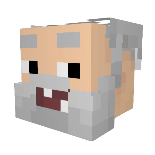 Pungunge02 Minecraft avatar head, 3D render