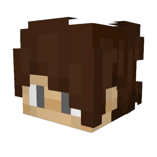 PuniSvk Minecraft avatar head, 3D render