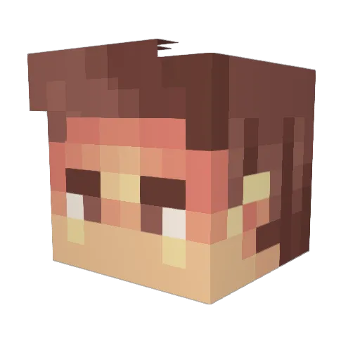 Punidamps Minecraft avatar head, 3D render