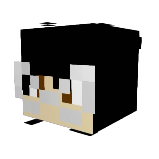 PunishedWood Minecraft avatar head, 3D render