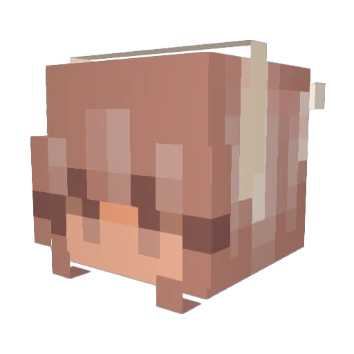 Punjajaa Minecraft avatar head, 3D render