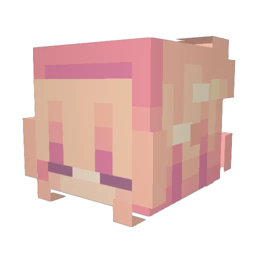 PunkLucy Minecraft avatar head, 3D render