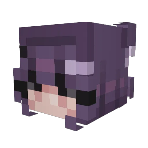 Punka75 Minecraft avatar head, 3D render