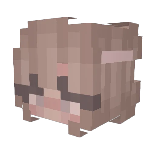 Punka_UwU Minecraft avatar head, 3D render