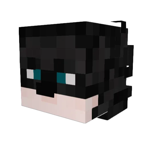 Punkake22 Minecraft avatar head, 3D render