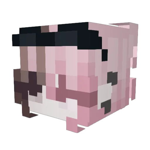 Punkar00 Minecraft avatar head, 3D render