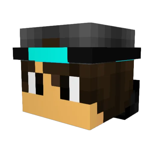 PunkawallahBoy Minecraft avatar head, 3D render