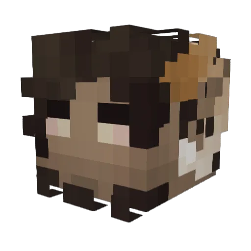 Punkcupine Minecraft avatar head, 3D render