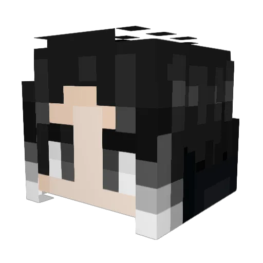 Punkiddo Minecraft avatar head, 3D render