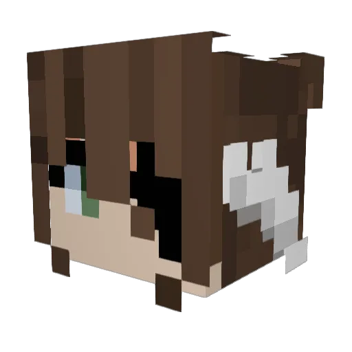 PunkinPie118 Minecraft avatar head, 3D render