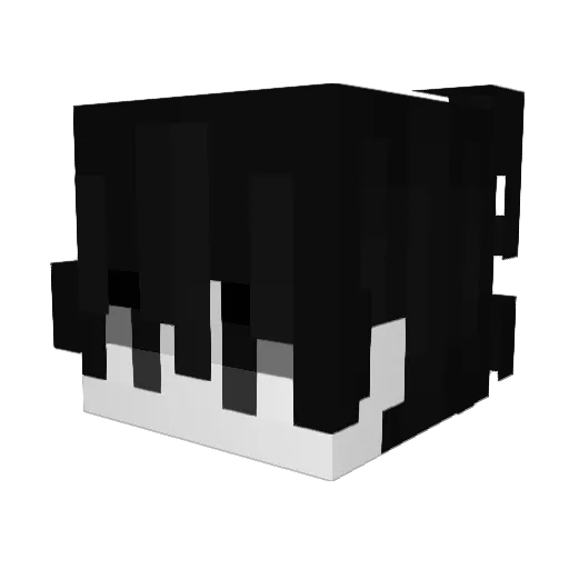 Punkleo593_ Minecraft avatar head, 3D render
