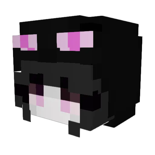 Punknplant Minecraft avatar head, 3D render