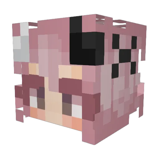 Punksona Minecraft avatar head, 3D render