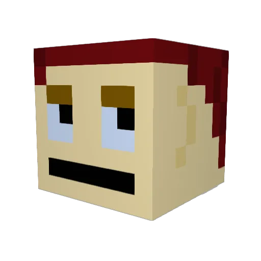 Punkw0lfxD Minecraft avatar head, 3D render