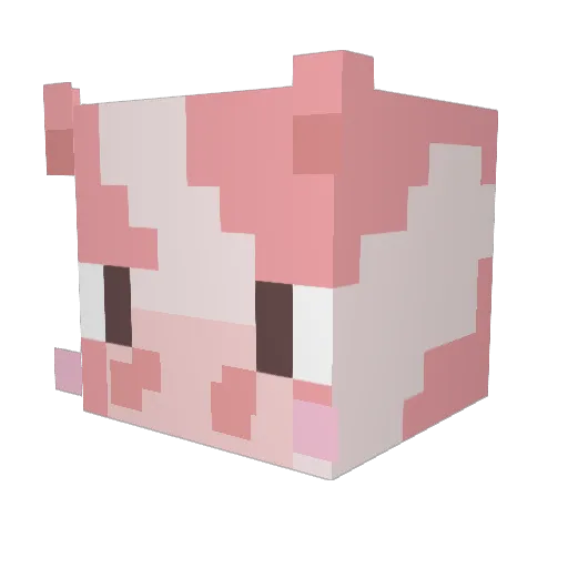 PunkyFarmer Minecraft avatar head, 3D render