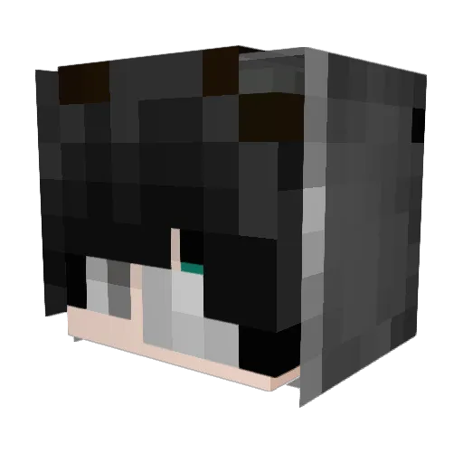 Punpun123t Minecraft avatar head, 3D render