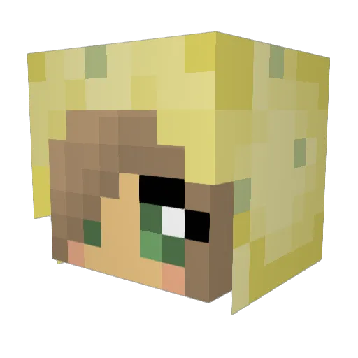 Punschi93 Minecraft avatar head, 3D render