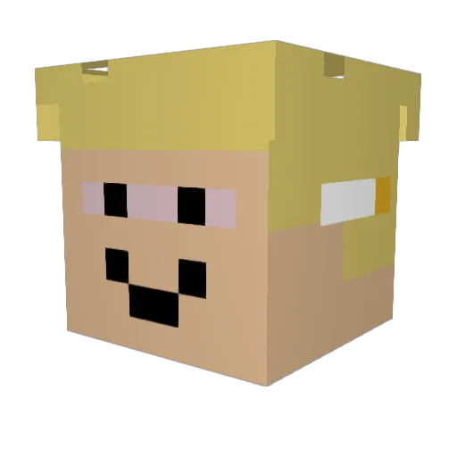 Puntigxmer Minecraft avatar head, 3D render