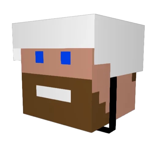 Punttipoka Minecraft avatar head, 3D render