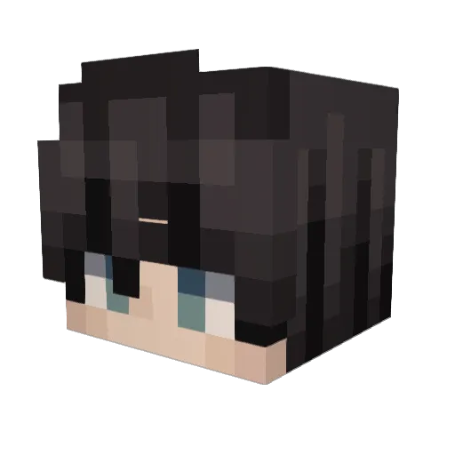 Punxmt Minecraft avatar head, 3D render