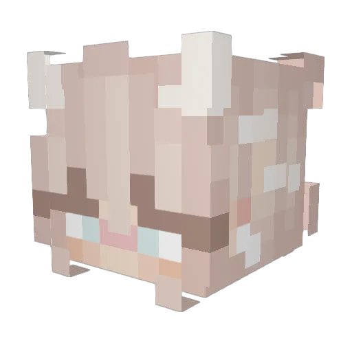 PunyEvening4230 Minecraft avatar head, 3D render