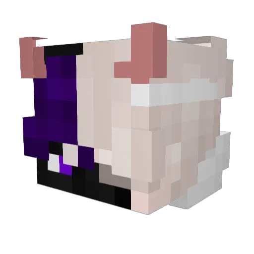 Pup0403 Minecraft avatar head, 3D render