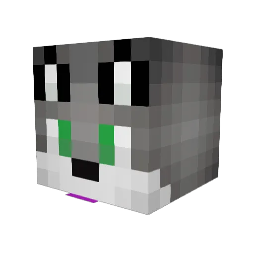 Pup56 Minecraft avatar head, 3D render
