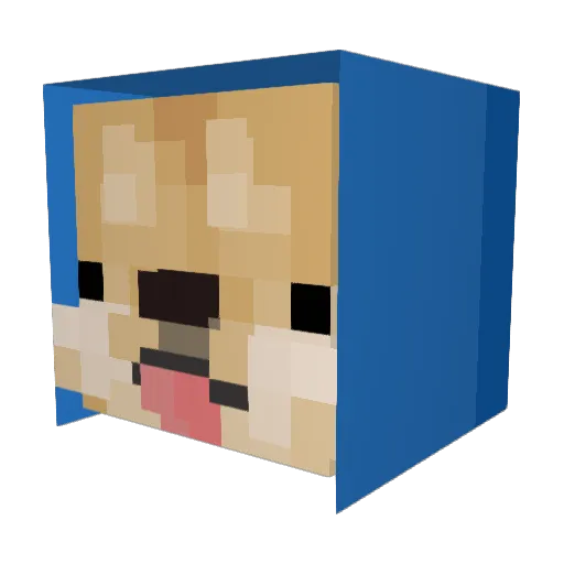 Pup_Sethy Minecraft avatar head, 3D render