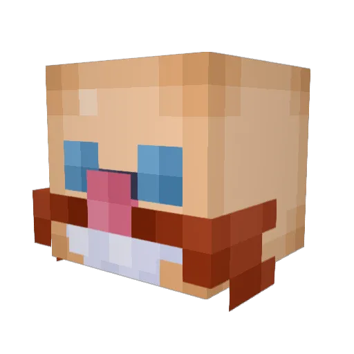 Pupo_21 Minecraft avatar head, 3D render