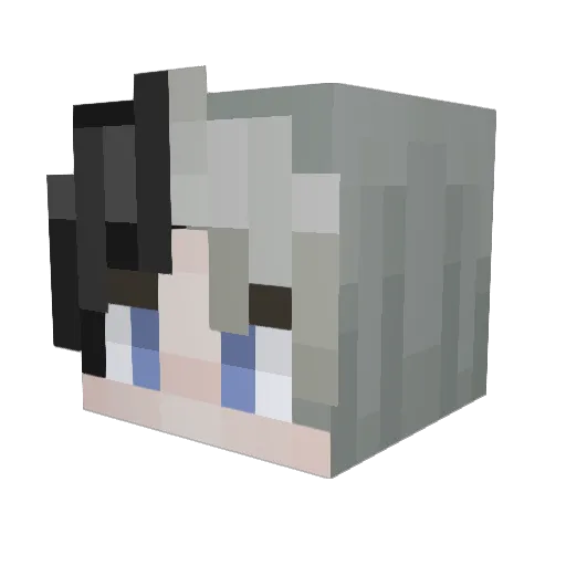 PupocSon Minecraft avatar head, 3D render