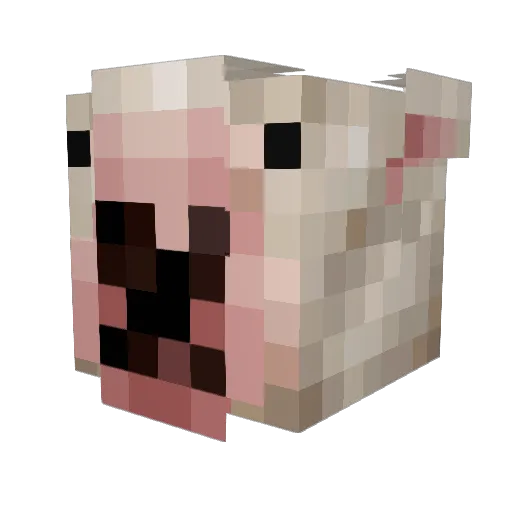 PupperWalter566 Minecraft avatar head, 3D render