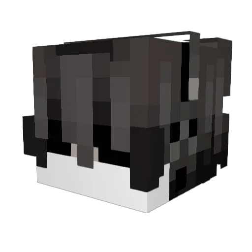 Puppibrained Minecraft avatar head, 3D render