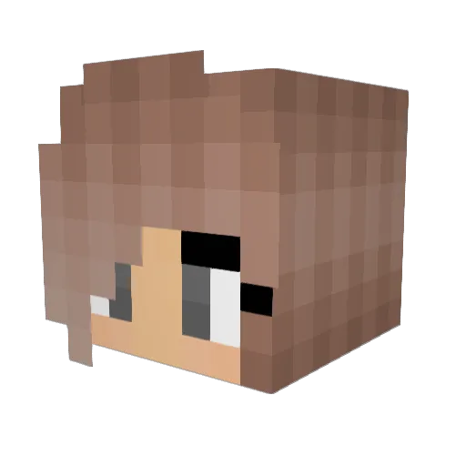Puppies011 Minecraft avatar head, 3D render
