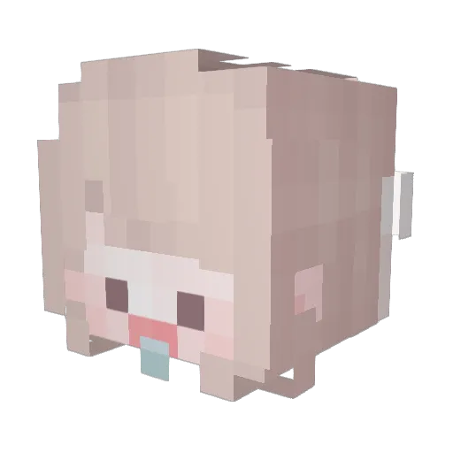Puppp1y Minecraft avatar head, 3D render